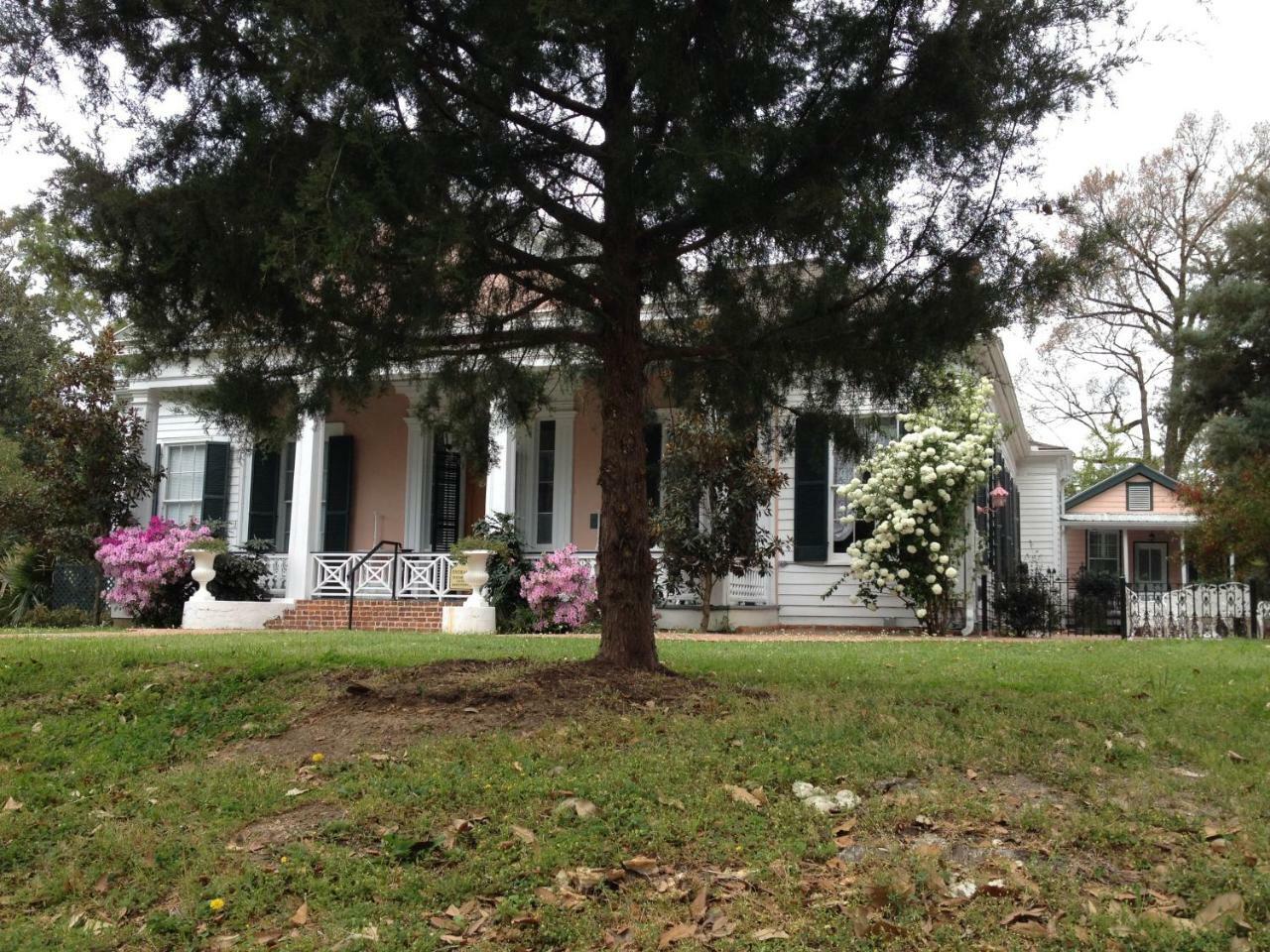 Stone House Musical B&B Natchez Esterno foto